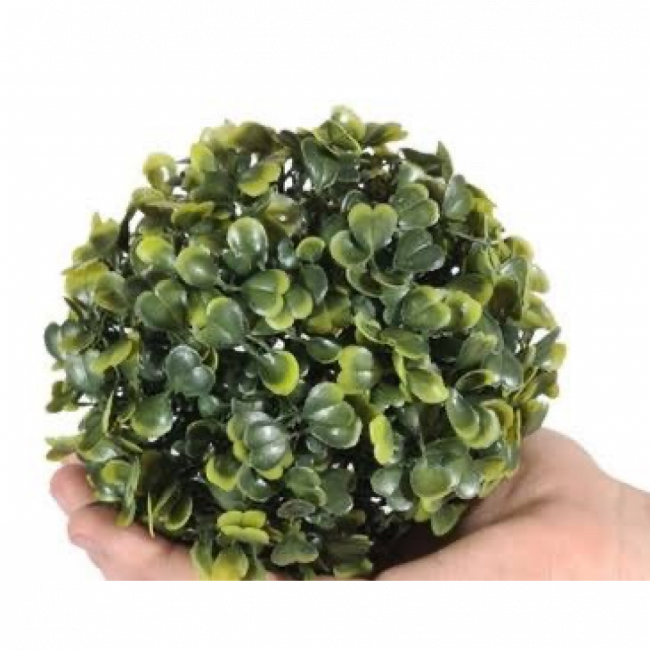 Topiaria
