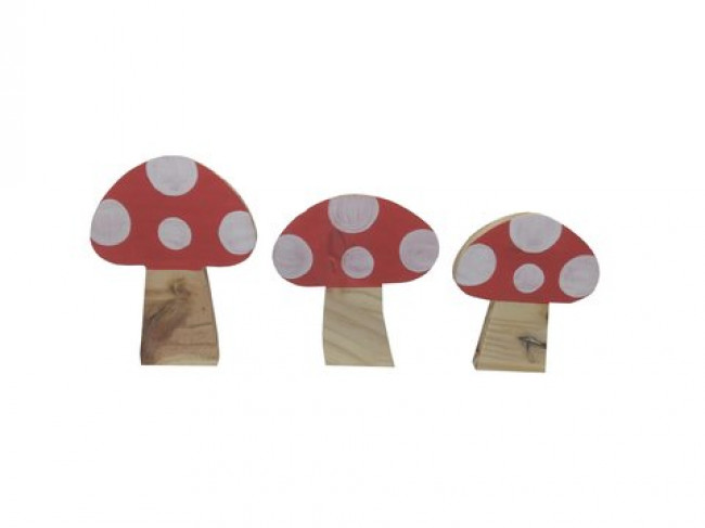 KIT DE COGUMELO