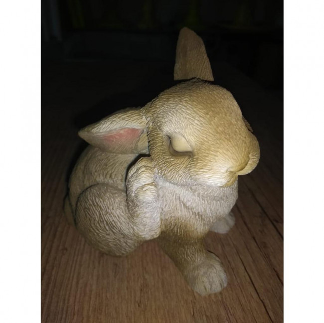 COELHO MINI