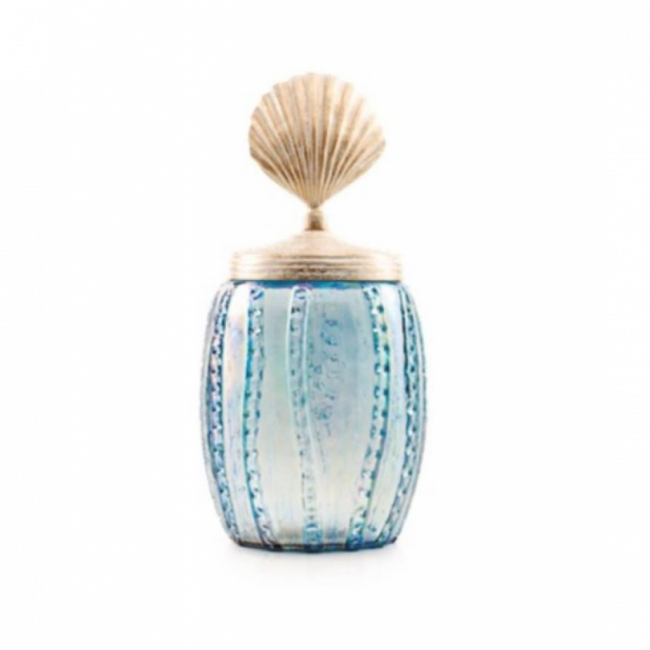 Vaso Concha Azul Pequeno
