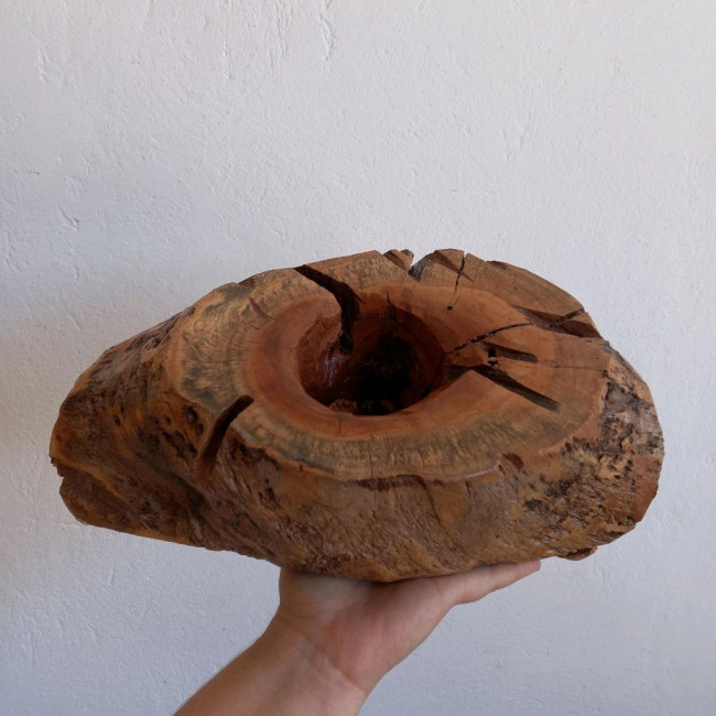 Tronco vaso