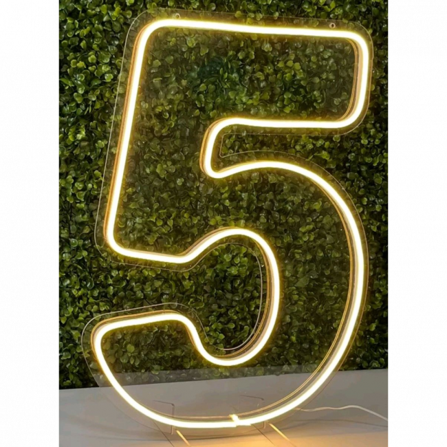 Número 5