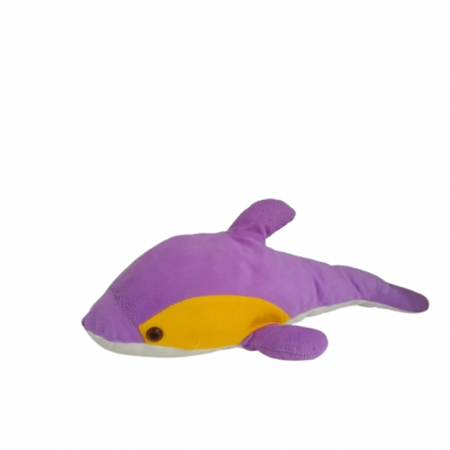 Baleia