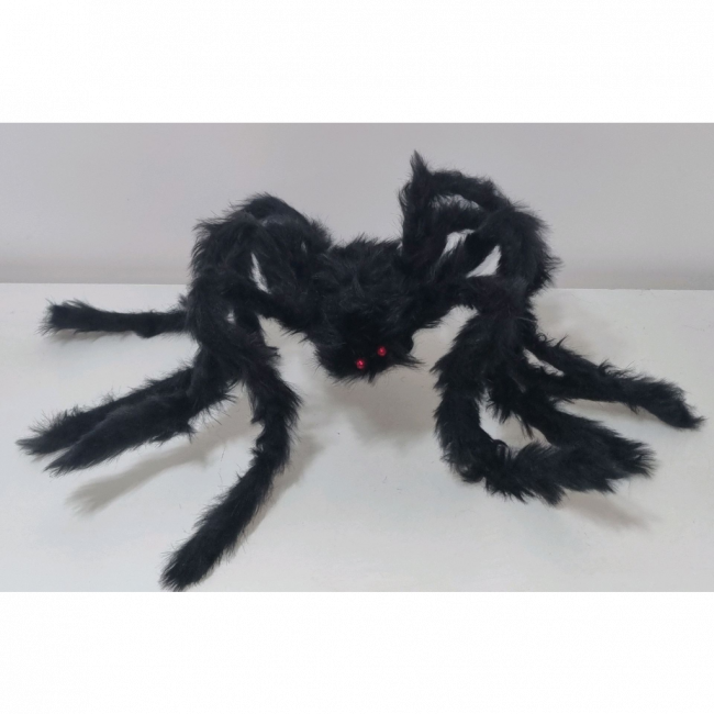 Aranha