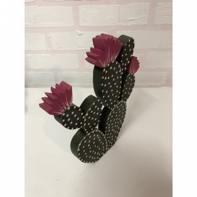 Cacto 1