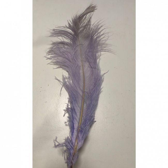 Pluma Lilás