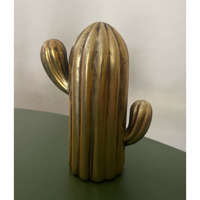 Cacto gold