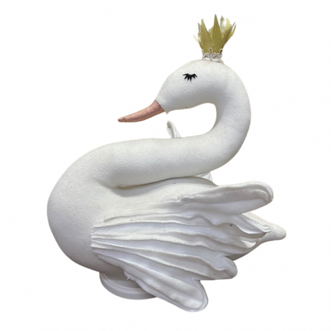 CISNE