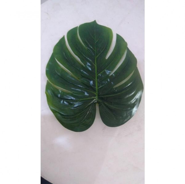 FOLHAGEM COSTELA DE ADAO TAM P