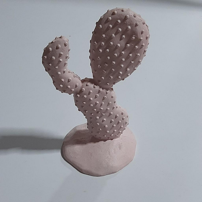 Cacto rosa