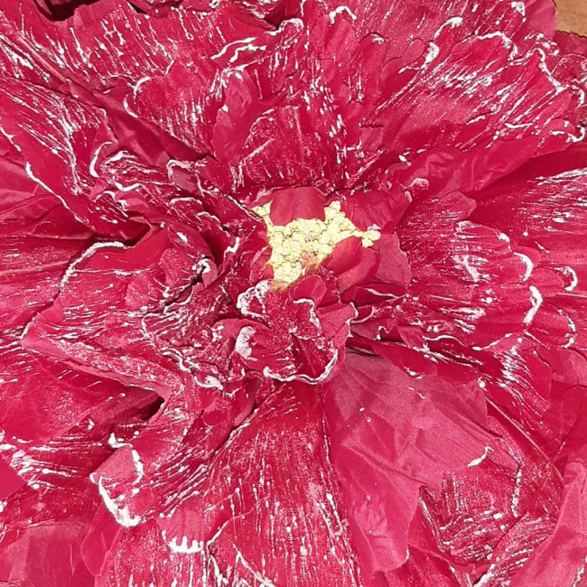 FLOR MÉDIA