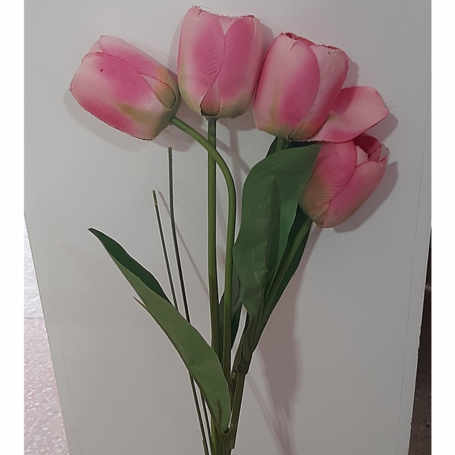 Flor tulipa
