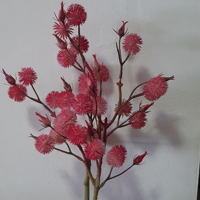 Flores