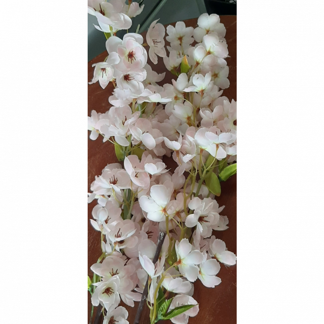 Flores