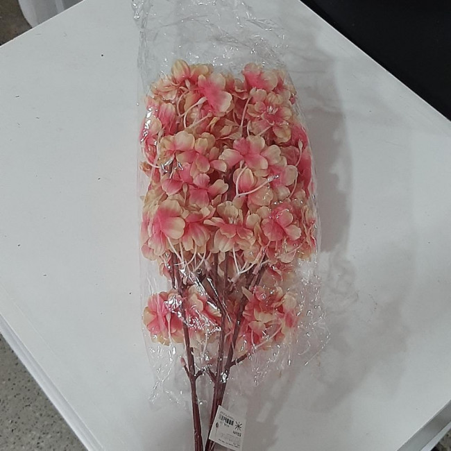 Flores