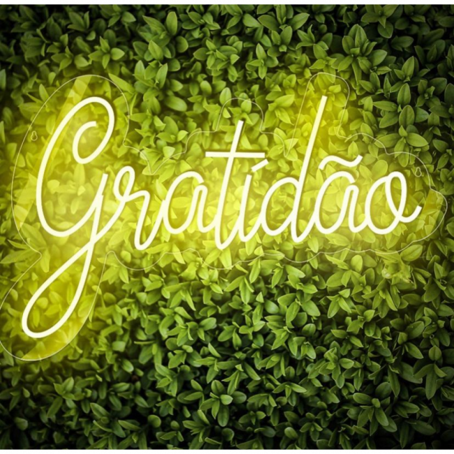 Led Gratidao