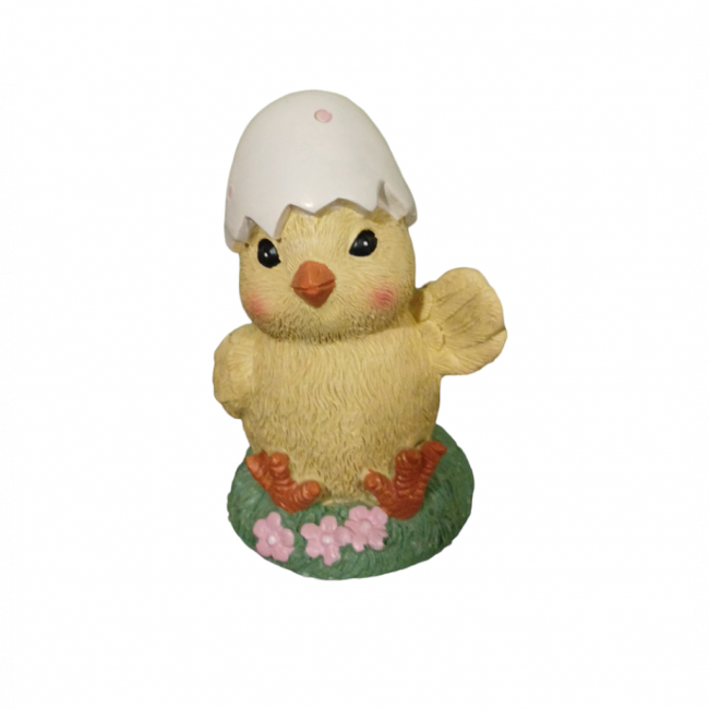Pintinho ovo