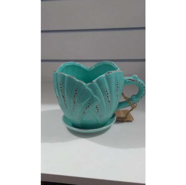 Vaso concha