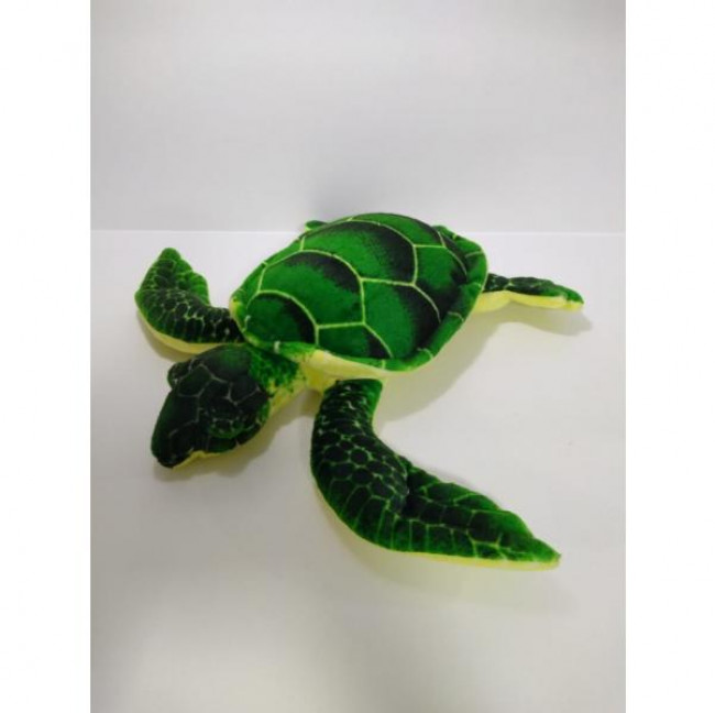 tartaruga