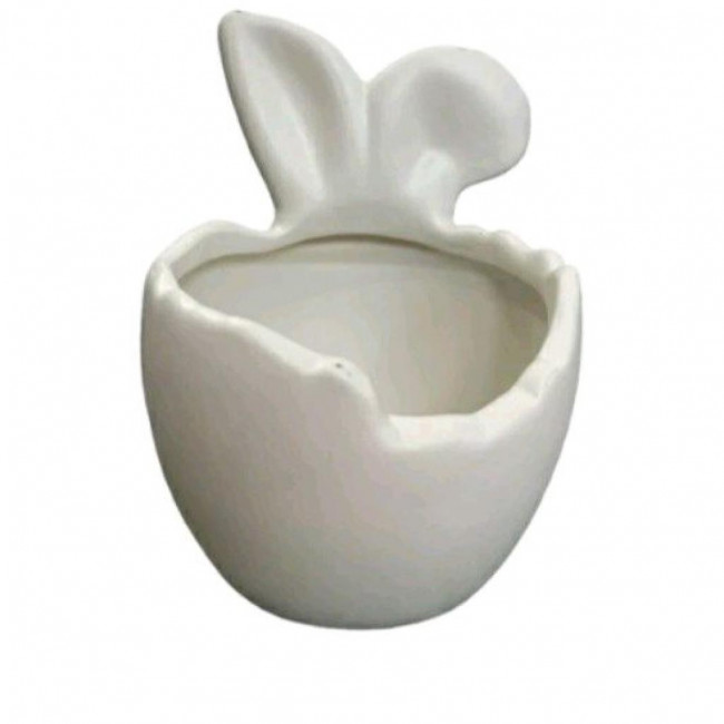 Bowl coelho