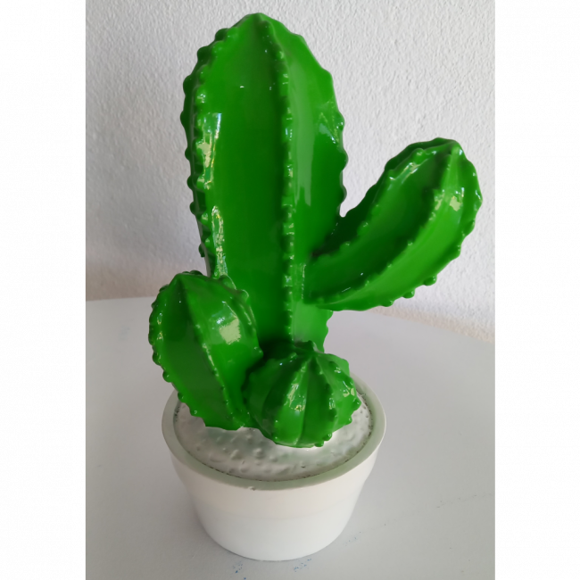 Cacto