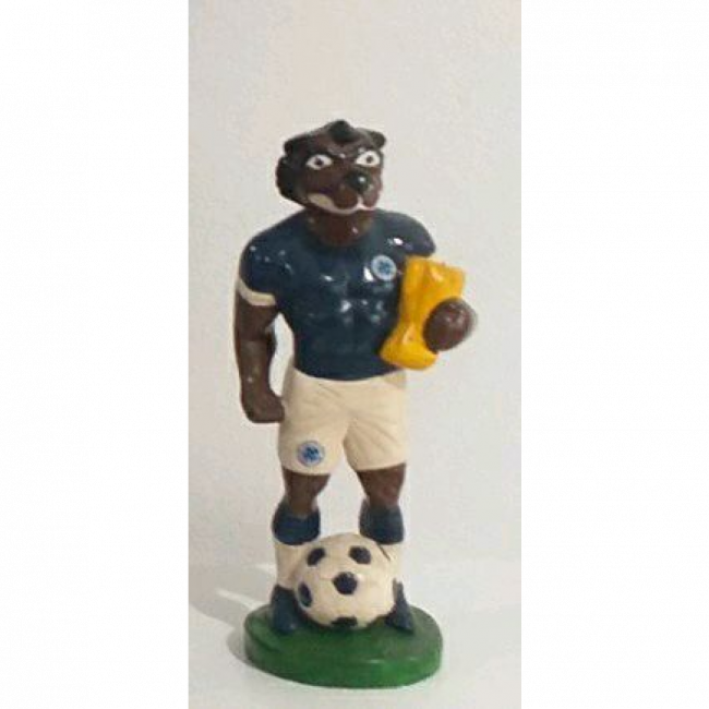 Raposão