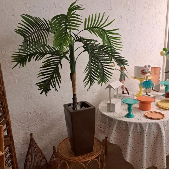 Coqueiro