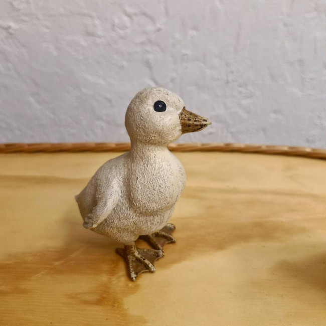 Patinho