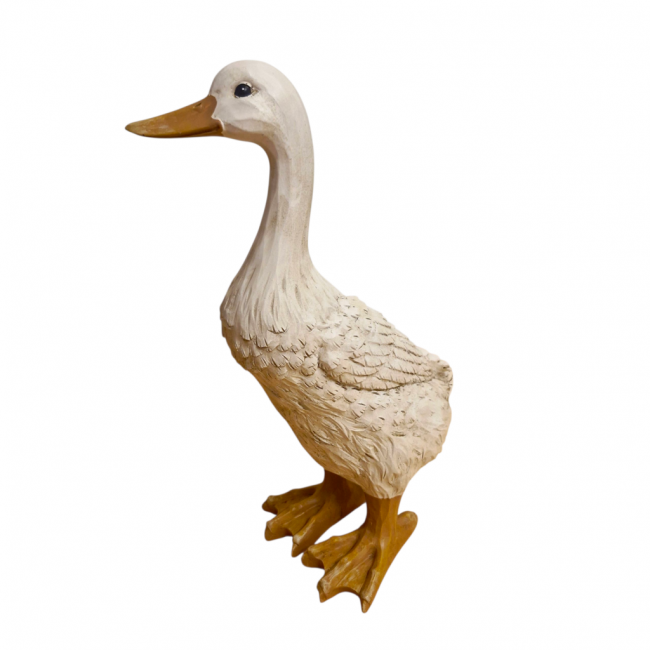 Pato Branco