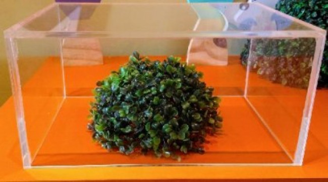 SUPORTE ACRILICO DE MESA BAIXO