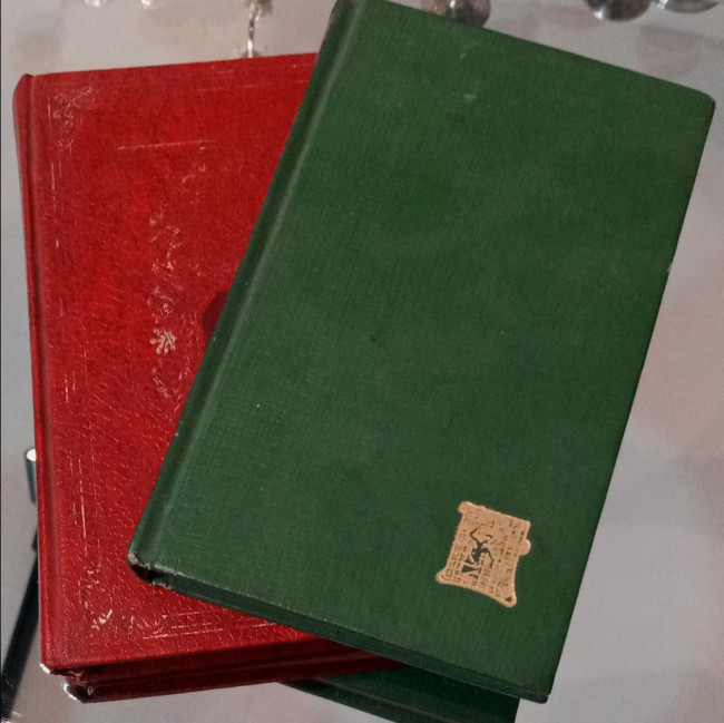 Livro p