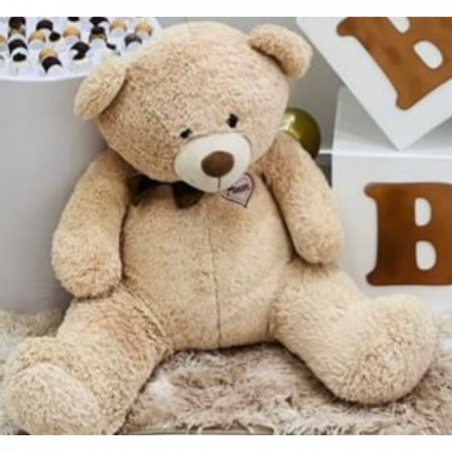 Urso G