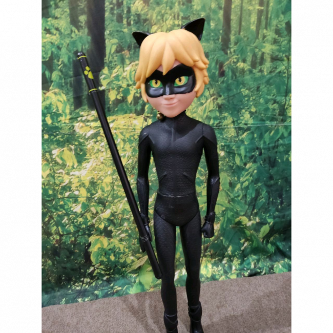 Lady Bug-Cat noir