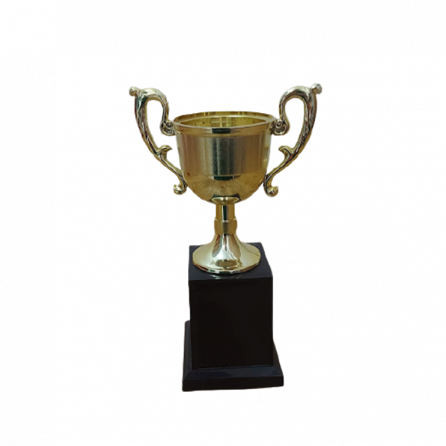 Troféu esportes (21cmA/12cmD)