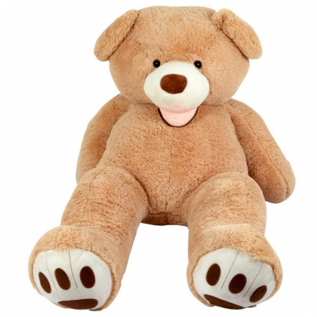 Urso GG