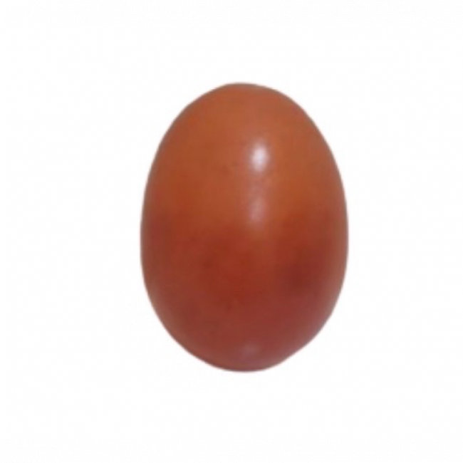 OVO DE GALINHA FAKE