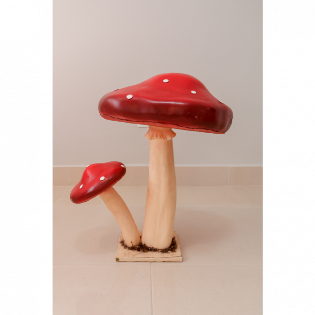 COGUMELOS