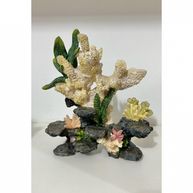 CORAL - M