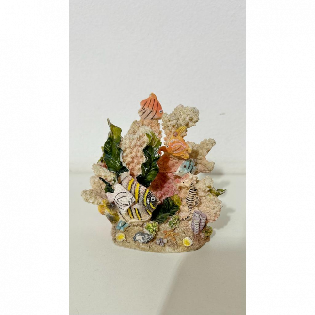 CORAL P