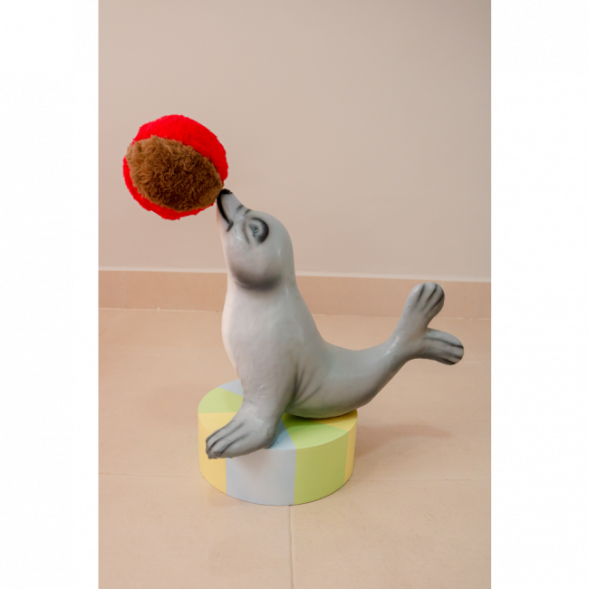 FOCA