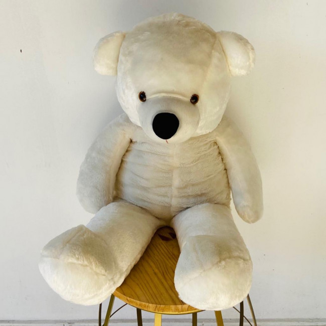 Urso branco