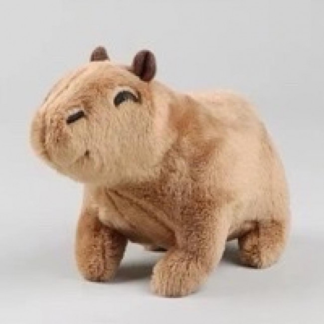 CAPIVARA