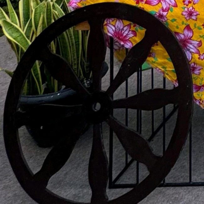RODA