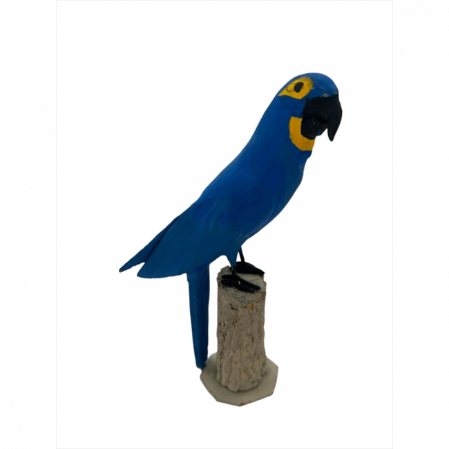 ARARA AZUL