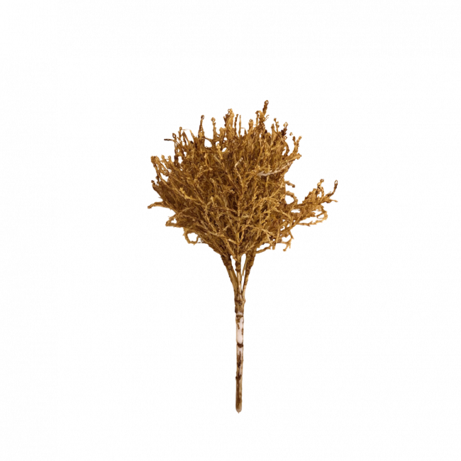 BUQUÊ CEDRO