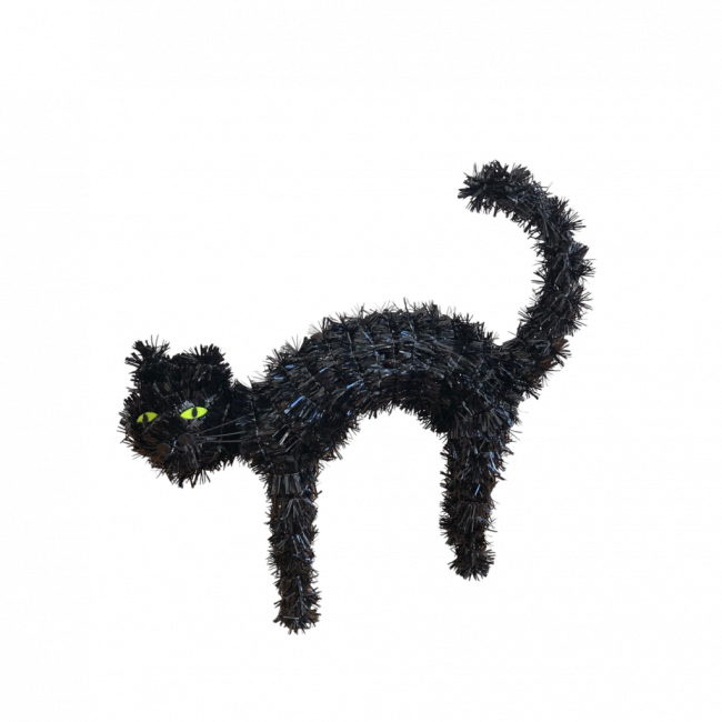GATO PRETO
