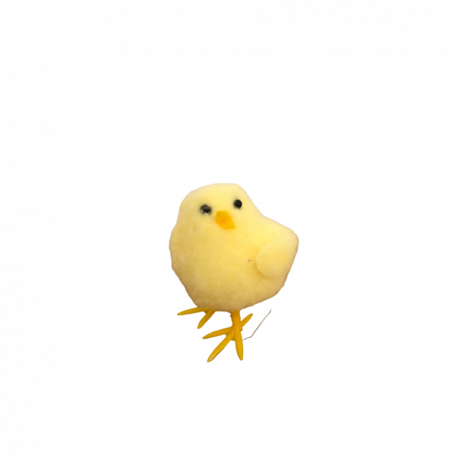 PINTINHO AMARELINHO