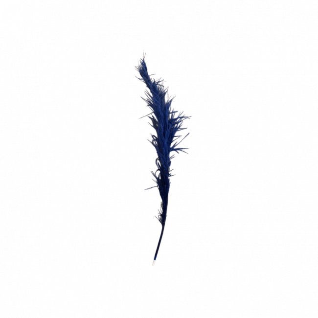 PLUMA AZUL
