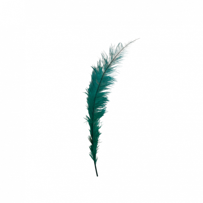 PLUMA VERDE