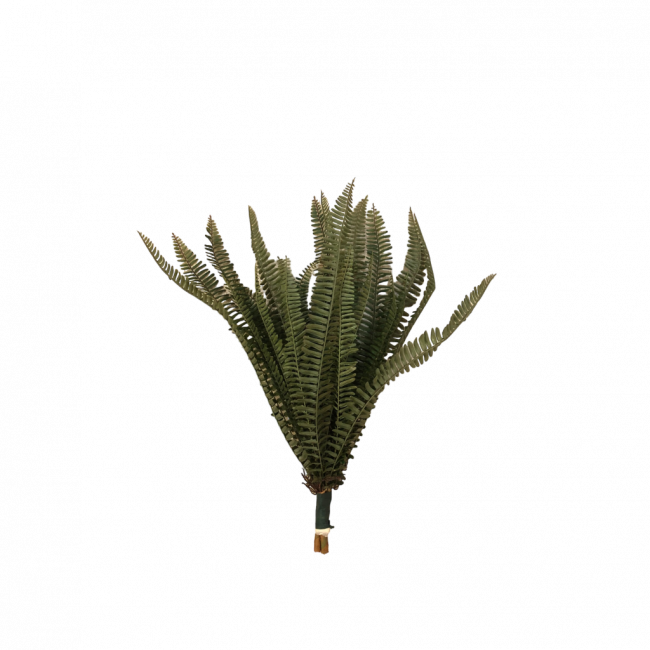 SAMAMBAIA